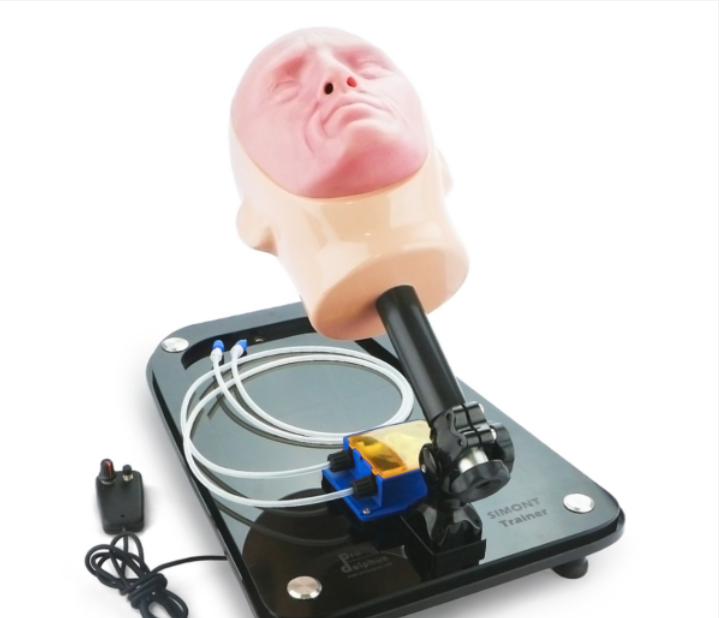 SIMONT Sinus And Skull Base Endoscopic Surgery Simulator