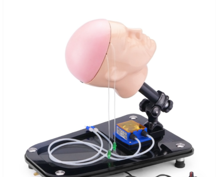 Simulator For Neuroendoscopic Surgery