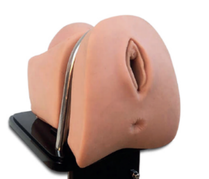 ETXY (Portable Model) Simulator for Hysteroscopy