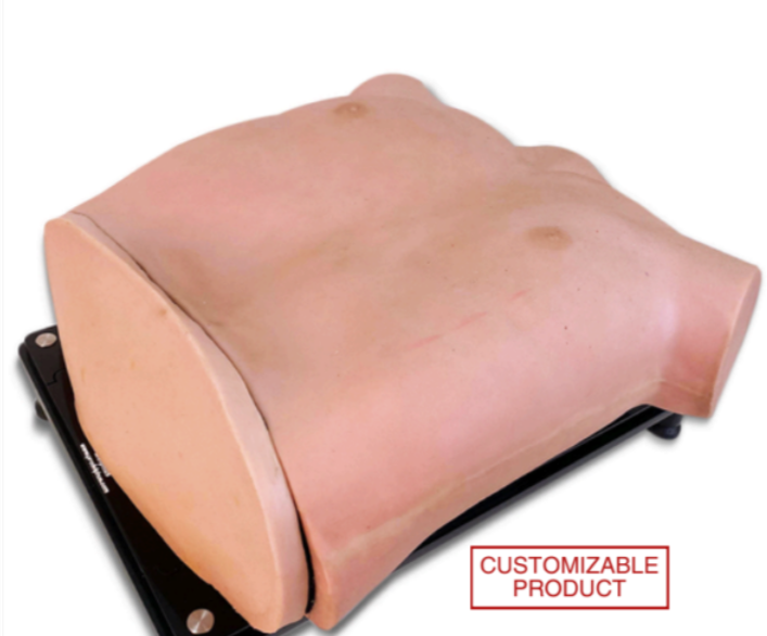 THOR-P Simulator For VATS Robotic And Pectus Excavatum Correction