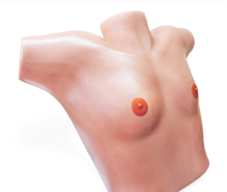 Breast Diagnosis and Surgery Simulator