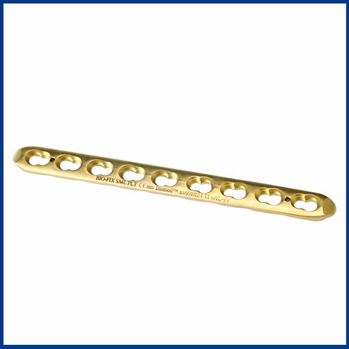 Small-Icp-Plate-Titanium