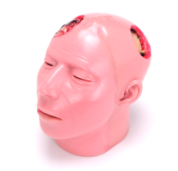 Anatomical Simulator for Skull and Face Pathologies