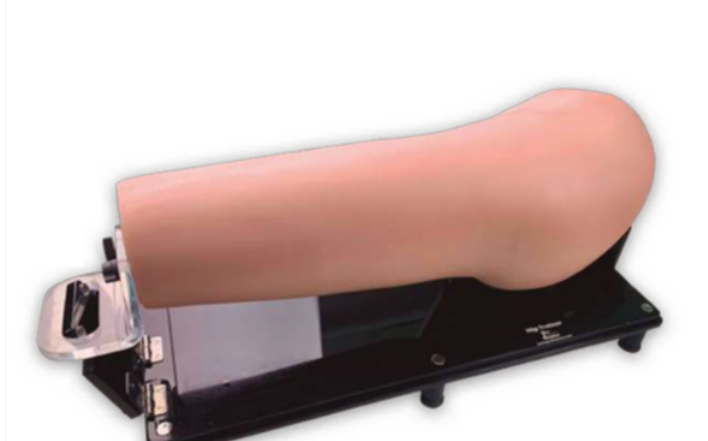 Hip Trainer Simulator For Open And Endoscopic Training