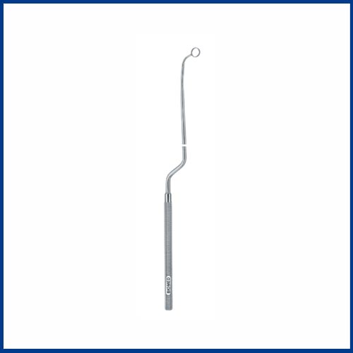 Nicola-Curette-Mallable